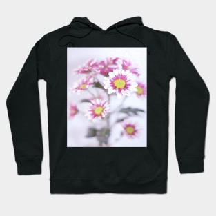 Pastel Flowers Hoodie